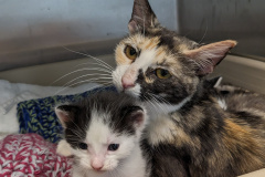 PXL_20240514_233953054